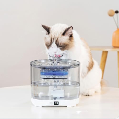 Fuente automática para perros y gatos con gran capacidad miniatura 3