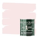 Evelyn Grant All-IN-ONE Paint & Primer - Sample Colour Tester Pot with Brush - Multi-Surface Paint For Interior Walls, Outdoor Garden & Exterior Walls, High Durability Multi-Feature Blush Pink