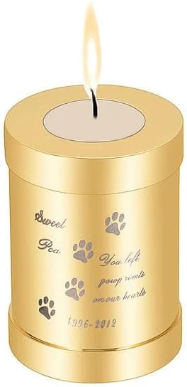 Cremation Urn for Pet Ashes Memorial Cremation Jewelry for Ashes Stainless Steel Keepsake Urn Locket