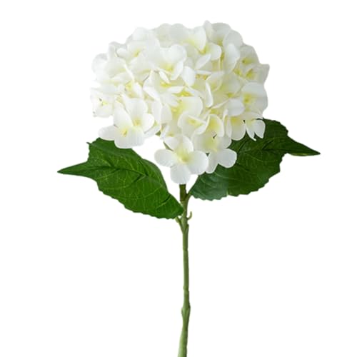 AWTCԁA  CeAA  ͂ȂԁA tFCN u[PA e[uZ^[s[XA  ԑ EFfBO ̓MtgA A[gt[ ԍށA CeA ʐ^