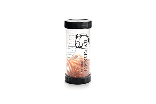 GenieJar Cipher KCI Live Bait Container, Black, 17 oz