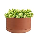 pot terre cuite ikea Dimensions et emballage : nos pots de fleurs mesurent 15*15*9cm (L x l x H) et pèsent 900 grammes. Chaque emballage comprend 1 soucoupe et 1 pot peu profond. Veuillez vérifier les dimensions, les autres spécifications et les détails de l'emballage avant de passer commande.