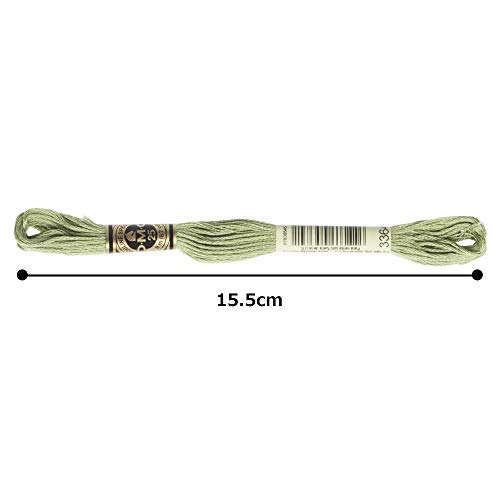 Image of DMC 6-Strand Embroidery Cotton Floss, Pine Green