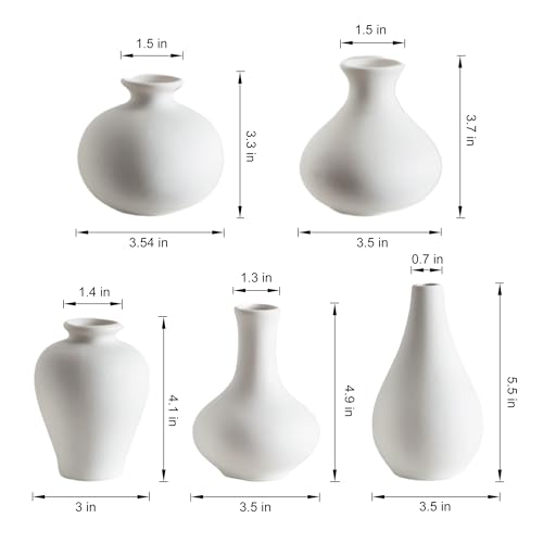 Small White Vases, Ceramic Bud Vase Set of 5, Mini Pottery Vases for Pampas Grass, Flowers, Decorative Vases for Home Modern Decor, Rustic Decor, Veses for Living Room Dining Table Shelves