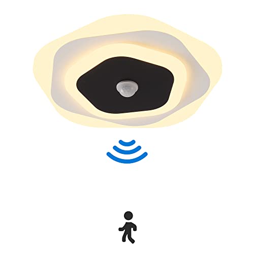 Puhui LED Deckenlampe mit Bewegungsmelder Innen,18W 1800LM Warmweiß 3000K Deckenleuchte mit Bewegungssensor, Sensorlampe für Flur, Treppe, Veranda, Garage, Carport, Balkon, Abstellraum, Keller (Blume) Cover