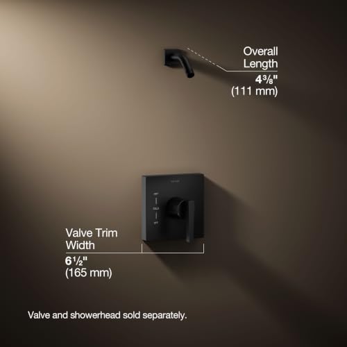 KOHLER Honesty Rite-Temp Shower Valve Trim With Lever Handle, Less Showerhead miniatura 4