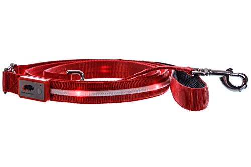 Blazin' Safety LED Dog Leash - USB Rechargeable Flashing Light, 6 Ft, Water Resistant – Avoid Danger – Red