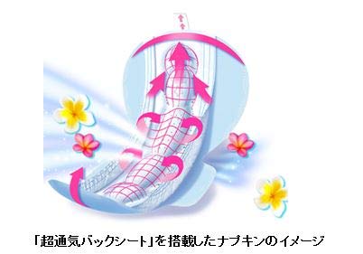 Amazon | 【まとめ買い】ソフィ 超熟睡ガード 涼肌 360 特に多い日の夜 Amazon | 【まとめ買い】ソフィ 超熟睡ガード 涼肌 360 特に多い日の夜