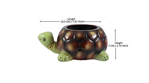 Lasaki Tortoise Big Ceramic for Indoor Plants,Planters,Flower,gamla for Outdoor,Balcony,Home,Garden,Office Decor,Succulent Pot(Hand Painted Green Neck)(L:19.5 cm,W:13.5 cm,H:7 cm)(Plants not included)