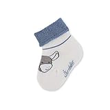 KindgerechtMotiIdefjedTag Sterntaler Unisex Baby Baby-söckchen Emmi Socks, Weiß, 16 EU
