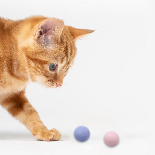 ZJCANGLIU 12 Stück Filzbälle Katzen,Katzenbälle aus Filz,Katze Ball,Filzball Katze,Für die Interaktion mit Kätzchen,100% Reine Wolle,Handgefertigt,6 Farben