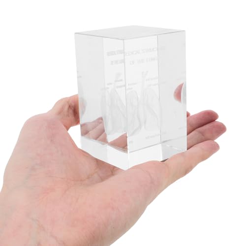Poumon humain en cristal 3D déco intérieure bureau médecine - 3