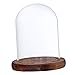 SM SunniMix Cúpula de Vidrio Campana de Cristal con Base Madera Florero...