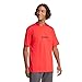 Adidas Men's Essentials Linear Sportswear Sportswear T-Shirt, Pure Ruby/Black, Medium