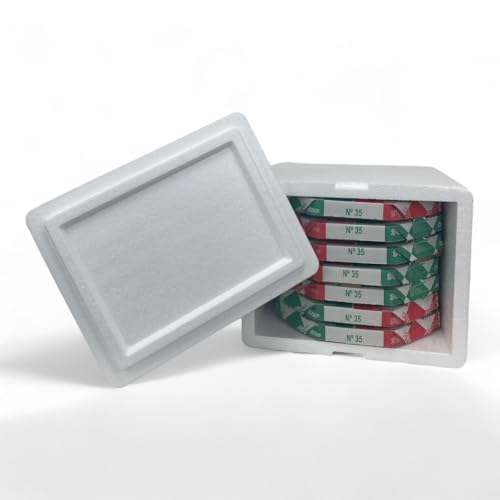 CAIXA ISOPOR TERMICA 45 LITROS PARA BAG ESPETOS PIZZA BEBIDAS