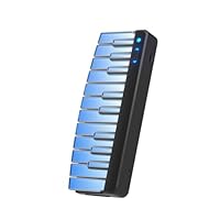 Enya Cyber-G キーボードver. ピックモジュール&スタンドも Amazon.co.jp: ENYA Cyber-G キーボードモジュール (Black