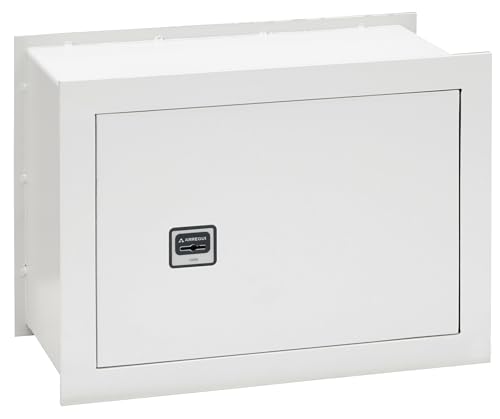 ARREGUI Ideal-5 271350 Wandtresor zum Einmauern | Safe mit Doppelbart Sicherheitsschloss | Doppelbolzen Verrigelung | Anwenderfreundlich mit Schlüssel | Wandmontage | 30 x 41 x 20 cm