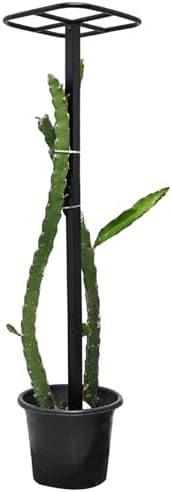 Yohsnor Dragon Fruit Trellis for Climbing Plants 50 * 12inches – Durable Metal Vertical Support Frame for Outdoor Gardens, Easy to Assemble, Stylish Design – Ideal Gift for Plant Enthusiasts