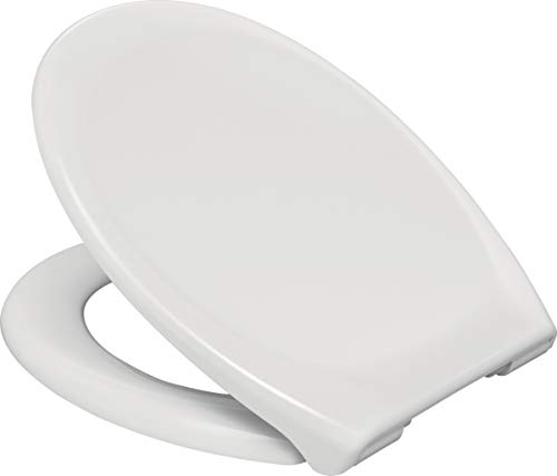 abattant wc - frein de chute et déclipsable - 45 x 37.6 cm - alterna 95900311