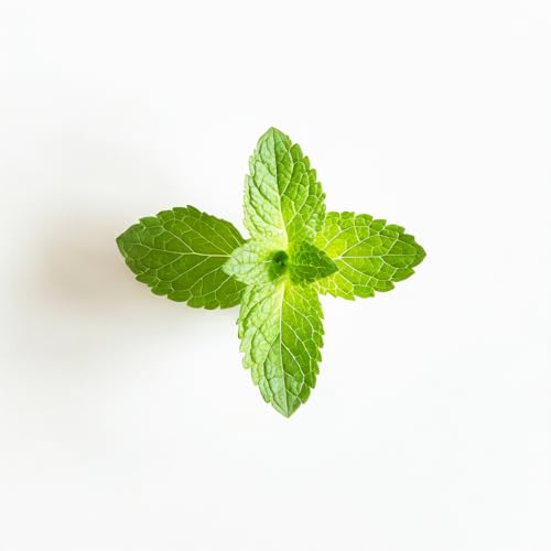 Essential Oxygen Certified BR Organic Brushing Rinse, All Natural Mouthwash for Whiter Teeth, Fresher Breath, and Happier Gums, Alcohol-Free Oral Care, Peppermint, 32 Ounce - Image 5