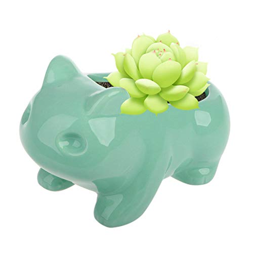 Decoración Exterior, Kitchen Imagen adicional