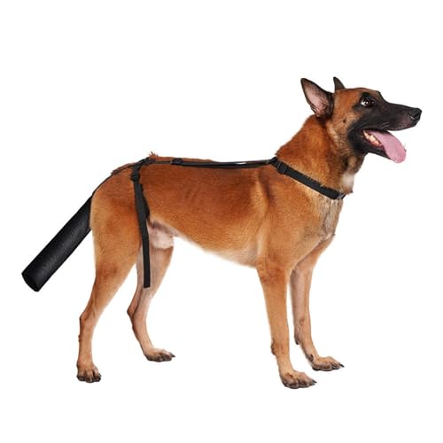 Schwanzschutz für Hunde – Verstellbare Schutzbandage für verletzte Hundeschwänze, Weiches und atmungsaktives Material zur Heilungsunterstützung | Wundpflegehilfe zur Vermeidung von Leckwunden, Schutz