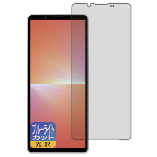 PDAH[ Xperia 5 V (SO-53D/SOG12/XQ-DE44) Ή u[CgJbg[] ی tB {