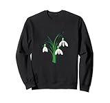 JC T-Shirts