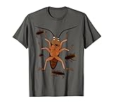 Bug DD Co