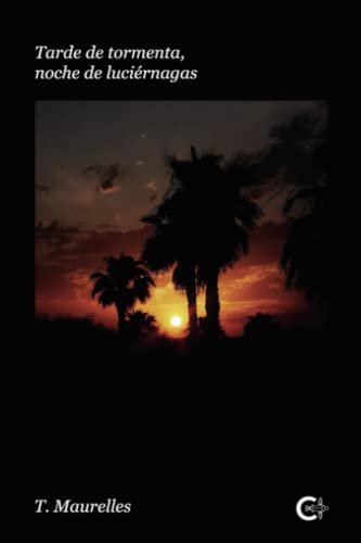 Portada de Tarde de tormenta, noche de luciérnagas