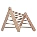 GOODEX Triangle d'escalade Triangle à échelons Pikler Triangle Escalade motricité Jouets Montessori pour bébés à partir de 10 Mois 100% ECO Made in Germany