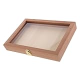 NOLITOY Caja Organizadora de Madera Sapele para Joyas y Recuerdos con Tapa Transparente Rectangular Diseño Compacto y Elegante para Exhibición de Mariposas y Flores Secas Almacenaje