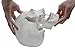 hBARSCI Human Skull Model - Medical Quality - 3 Parts with Removable Calvaria & Articulated Mandible - Anatomy Skull, Plastic Skull Replica, Life Size Skull