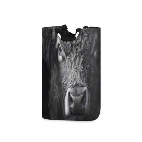 Jihqo Laundry Hamper Basket Highland Cattle Closeup Collapsible Nursery Storage Bin Waterproof Clothing Baskets for Home Bedroom Bathroom Washing Room