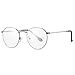 HJSTES Classic Round Glasses for Women Men Vintage Circle Clear Lens Metal Frame Eyeglasses (Silver)