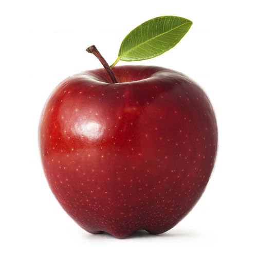 40pcs red Apple Fruit Seeds