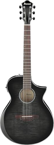 Ibanez AEWC