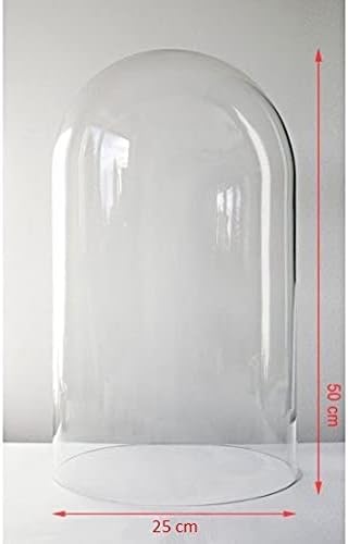 EMH Grande cloche en verre soufflé à la bouche Transparent 50 x 25 cm