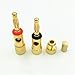 10Pcs Brass 4mm Banana Spiral Type Gold Screw Stereo Speaker Audio Terminal Adapter Electronic Connector(Red)