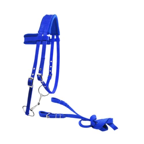 harayaa Brida de Caballo con Cabestro, arnés Resistente con cojín Suave, Correa para Cabeza, Blue S