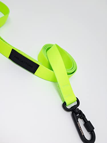Guia Para Cachorros Verde Neon (G)