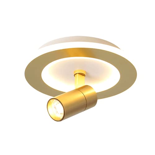 Plafonnier LED 350° rotatif géométrique doré pour illuminer avec précision votre entrée et vestiaire