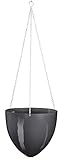 Hängeampel aus hochwertigem, pflegeleichtem Kunststoff - modernes Design - inkl. Metall-Kette zum Aufhängen und Verschluss für Wasserablauf