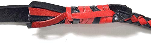 Frusta a frusta per cavalli, interamente