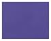 Pacon Peacock 4-Ply Poster Board (PAC54481)