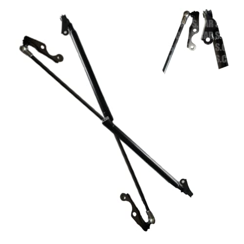 Febi BILSTEIN Ammortizatore Pneumatico Cofano Bagagli / Vano Carico Bilaterale | Acquisti Online Su