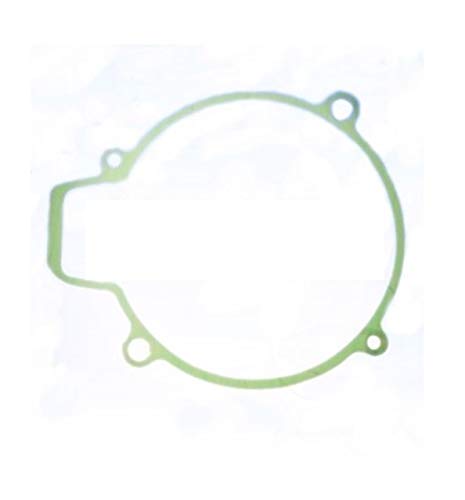 GUARNIZIONE COPERCHIO Alternatore Stator