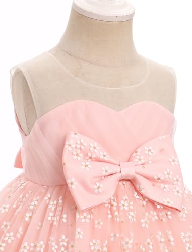 IBTOM CASTLE Toddler Baby Girl Birthday Princess Dress Sleeveless Floral Strawberry Tulle Tutu Dresses Formal Pageant Gown4