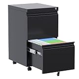 Aobabo Metal 2 Drawer Mobile File Cabinet with Lock, Under Desk Office Steel Filing Cabinet, 23.6''H