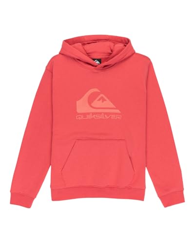 Quiksilver Sudadera con Capucha para niños con Logotipo Comp (Paquete de 1)